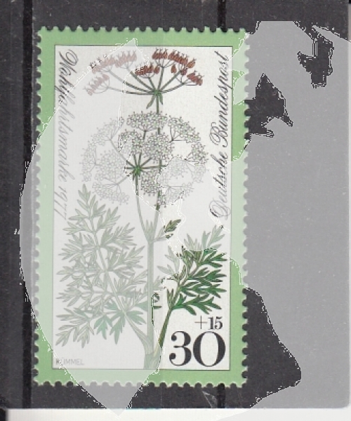 NSR 0949 ** - 1977